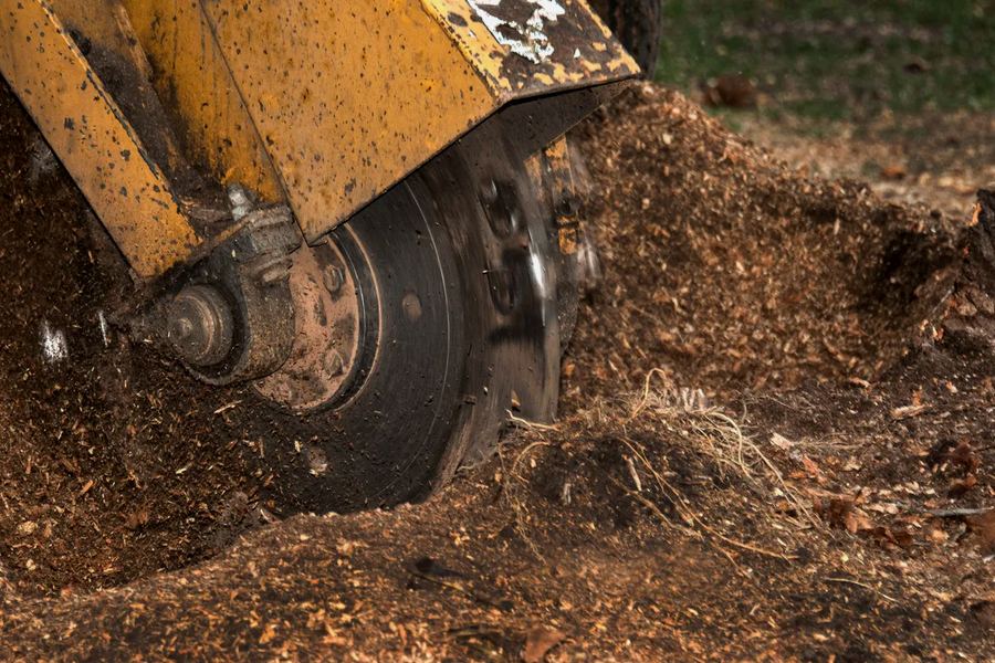 Ground stump and fresh chips in a Springfield, TN yard